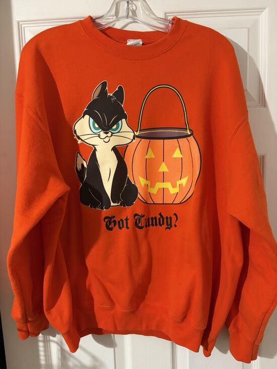 Warner Bros. Other - Vintage Looney Tunes Halloween Got Candy Sweatshirt Sz XL Cat Orange